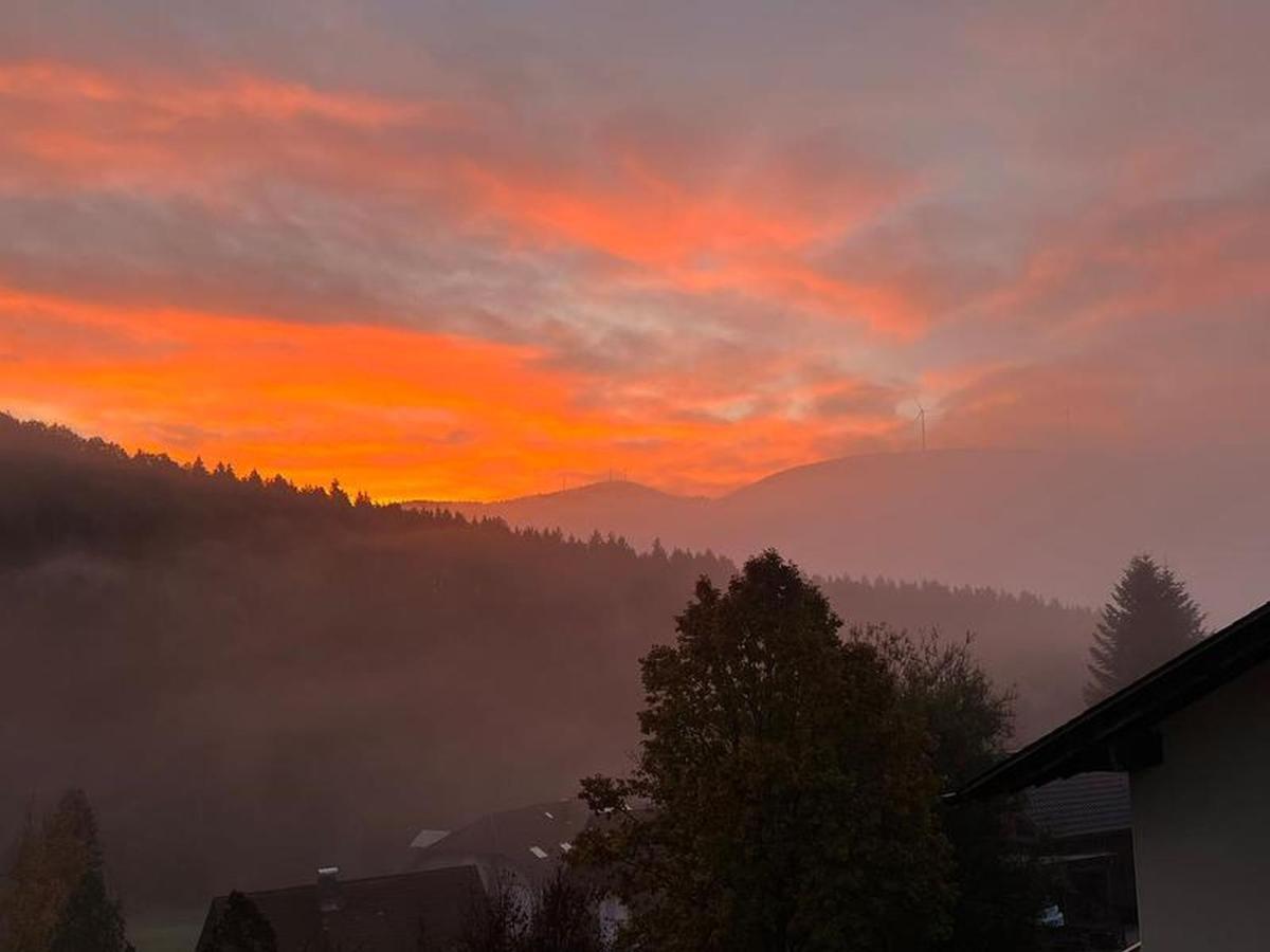 Black Forest Appartement - Brandenkopfblick ツェル・アム・ハルマースバッハ エクステリア 写真